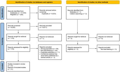 Scoping review of dual-task interference in individuals with intellectual disability